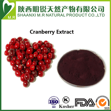 Cranberry Extract Powder