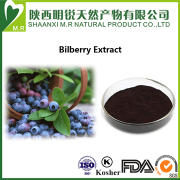 Bilberry Extract Powder