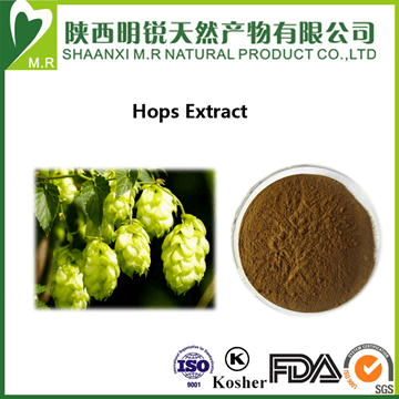 Hops Flower Extract