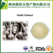 Garlic Extract