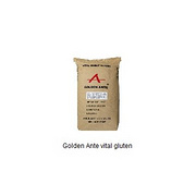 Golden Ante vital gluten