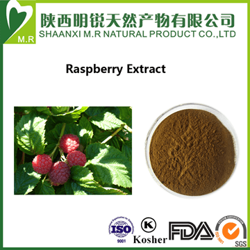 Raspberry Extract