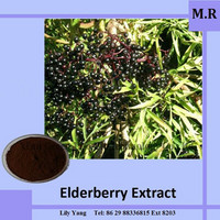 Elderberry Extract Powder