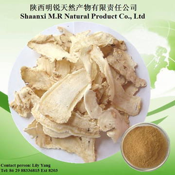 Angelica Extract