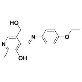 P5P intermediates