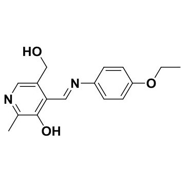 P5P intermediates