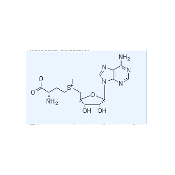 S-Adenosyl-L-methionine