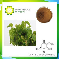 Mulberry Leaf Extract