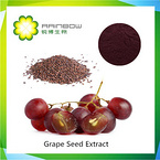 Grape seed extract