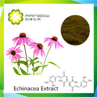 Echinacea Extract chicoric acid 1%