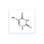 Thymine