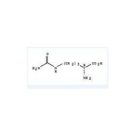 D-Citrulline