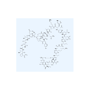 Salmon Calcitonin