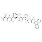 DOLASTATIN 10?