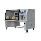 Anaerobic Incubator YQX-I