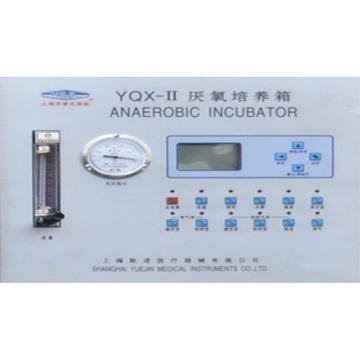 Anaerobic Incubator YQX-II  