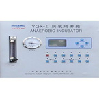 Anaerobic Incubator YQX-II