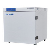 Electrothermal Thermostatic Incubator HH-BII-BY