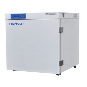 Electrothermal Thermostatic Incubator HH-BII-BY