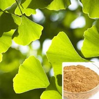 Extract of Ginkgo biloba