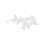 Daptomycin