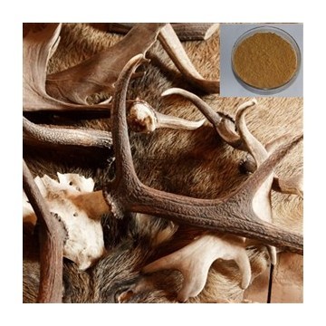 High quality  Anti-aging ,enhance memory products  Velvet antler extract/ Velvet antler extract