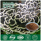 Coriolus Mushroom Extract/Yun Zhi Extract