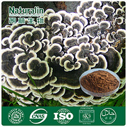 Coriolus Mushroom Extract/Yun Zhi Extract
