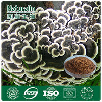 Coriolus Mushroom Extract/Yun Zhi Extract