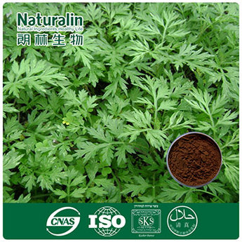 Argy Wormwood Leaf Extract