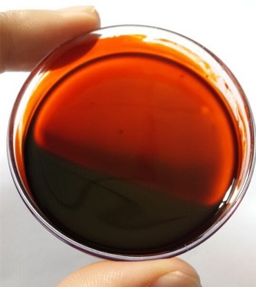 astaxanthin oil 10%