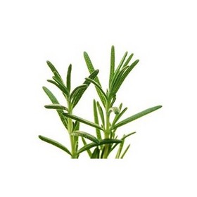 HAIRUI Natural Rosemary Essential Oil 