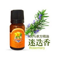 Rosemary Oil Extract from Organic Rosemary at Competitive Cost