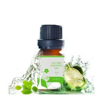 Spa Fragrance Essential Rosemary Oil from Rosemary Herb 