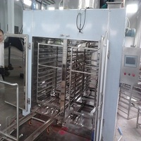 Tray Drying Oven