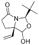 Rolapitant int 1214741-21-5