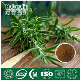 Rosemary Extract