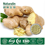 Ginger Extract