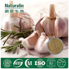 Garlic Extract