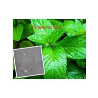 Body massage Menthol chinese peppermint extract essential oil aromatherapy natural base oil OEM 