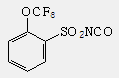 2-(Trifluoromethoxy)benzene sulfonyl isocyanate
