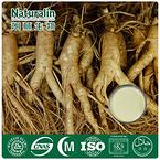 Ginseng Extract