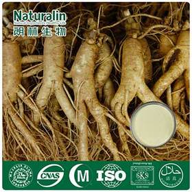 Ginseng Extract