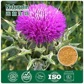 Milk Thistle Extract