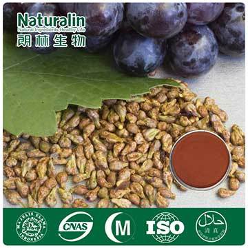 Grape Seed Extract