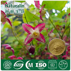 Epimedium Extract Powder