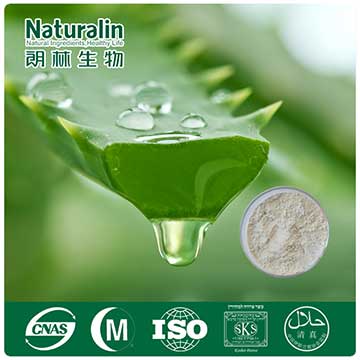 Aloe Vera Extract