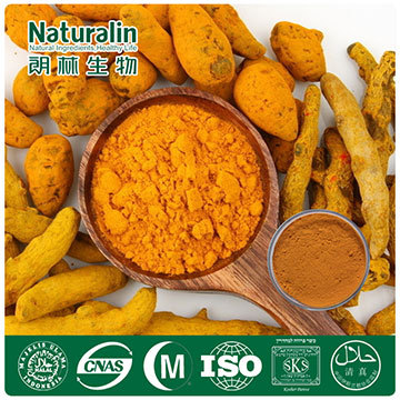 Turmeric Extract