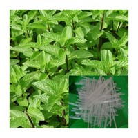 High purity Natural Menthol Crystal 