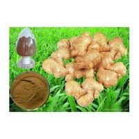 Ginger flavouring oil flavor food flavor for bakery and candy 